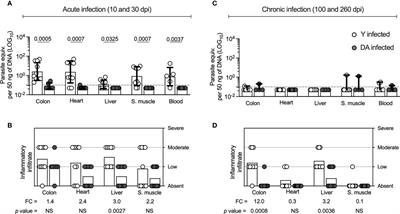 CD8+ T Cell Response Quality Is Related to Parasite Control in an Animal Model of Single and Mixed Chronic Trypanosoma cruzi Infections